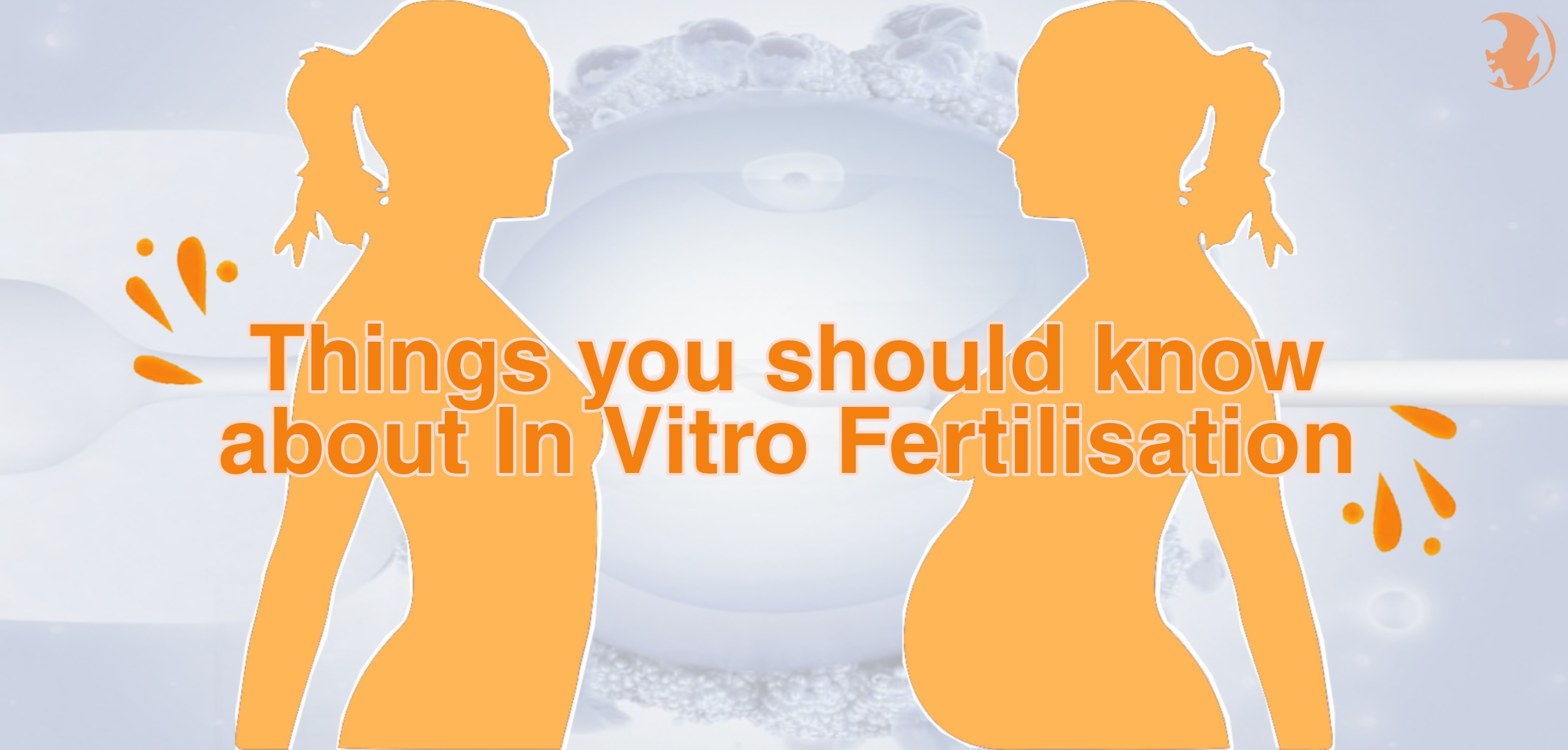 IVF process from egg retrieval to embryo transfer