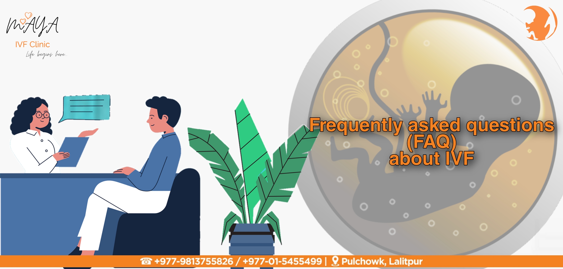 IVF fertilization outside the body